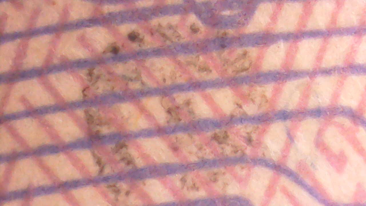 2009-Series,-50-Dollar-Bill;-Odd-Stamp-That-I-Cannot-Find-Anywhere